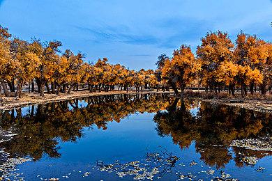 海湾战争战损GB掌机已被任天堂收回 不再对外展出